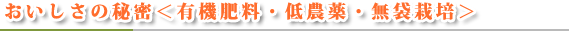 おいしさの秘密＜低農薬・無袋栽培＞